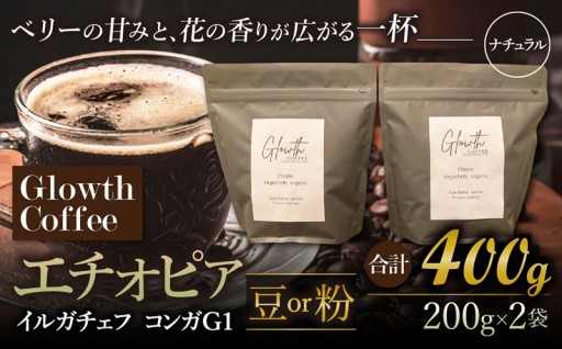 エチオピア イルガチェフ コンガG1  コーヒー ( 豆 or 粉 ) 400g ( 200g ×2 )