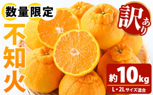＼数量・期間限定／農家直送”旬の”不知火 10kg