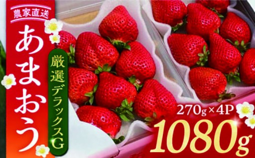 【レビュー絶賛】驚きの大粒！内藤農園が贈る贅沢あまおう
