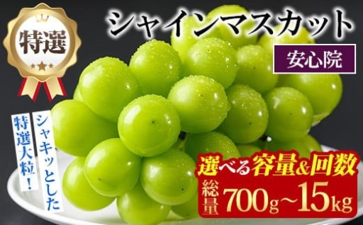 ＜先行予約受付中！＞ 特選 シャインマスカット (約700g/5kg×1回・3回)