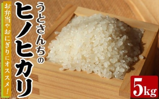 ヒノヒカリ (5kg)