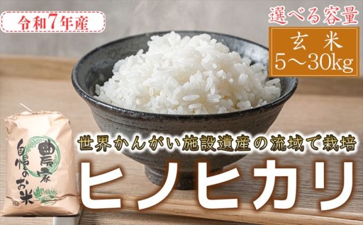 令和7年度産 玄米 ヒノヒカリ 八千種米 5kg 10kg 30kg