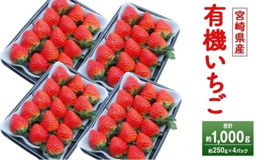 宮崎県産 有機いちご 約1kg（約250g×4パック）