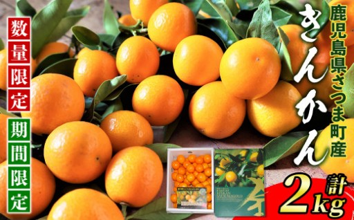 ＜先行予約受付中！＞《期間・数量限定》フルーツきんかん(計2kg)