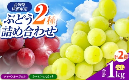 信州伊那産ぶどう2種食べ比べセット