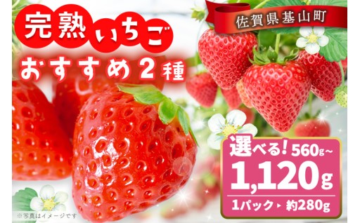 基山町発 自慢のいちごの嬉しい食べ比べ🍓