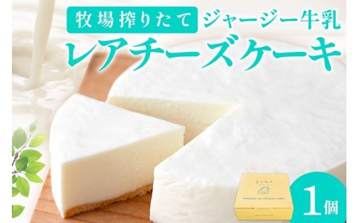 ジャージー牛乳100%のレアチーズケーキ💛