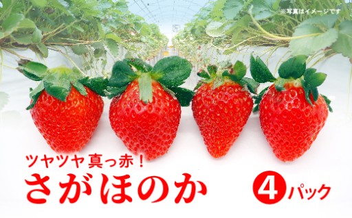 ＼新登場／さがほのか 4パック