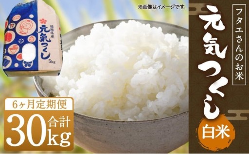 【6回定期便】フタエさんの お米 元気つくし 白米 5kg×6回 計30kg