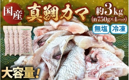 【大容量】便利な無塩タイプ✨希少な国産真鯛カマ🐟