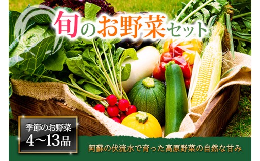 阿蘇市のお礼の品>>>阿蘇のおいしい湧水で育った新鮮な採れたて野菜をセット
