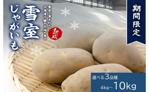 7トン突破！～雪室（ゆきむろ）熟成じゃがいも人気です！いもランキング4位