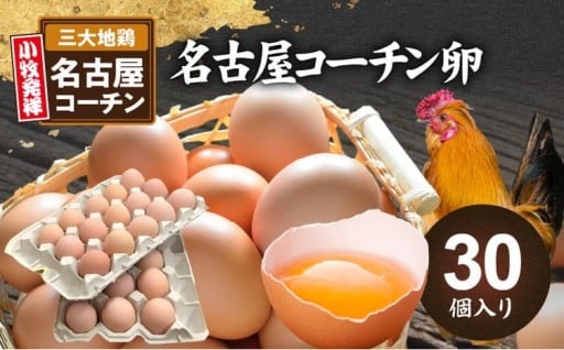 🥚✨名古屋コーチン卵（30個入り）✨🥚