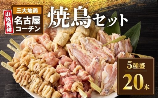🔥🐓名古屋コーチン焼鳥 5種20本セット🐓🔥