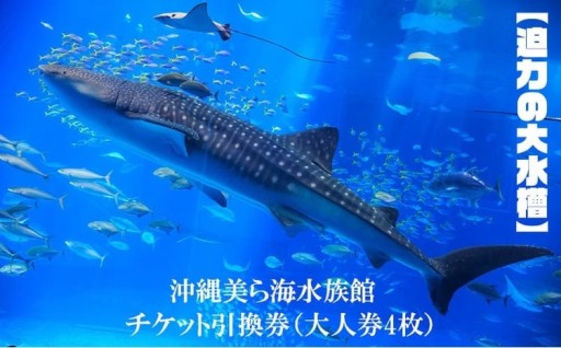 【迫力の大水槽】沖縄美ら海水族館　チケット引換券＜大人券4枚＞