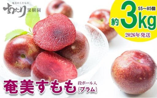 2026年発送【あたり果樹園】奄美大島産 すもも(プラム)約3kg