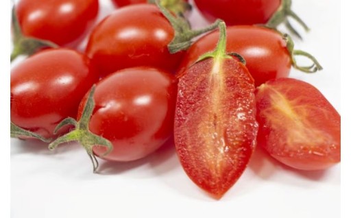 【選べる発送月】ミニトマトアイコ(松トマト) 約2kg（S・M・Lサイズおまかせ）