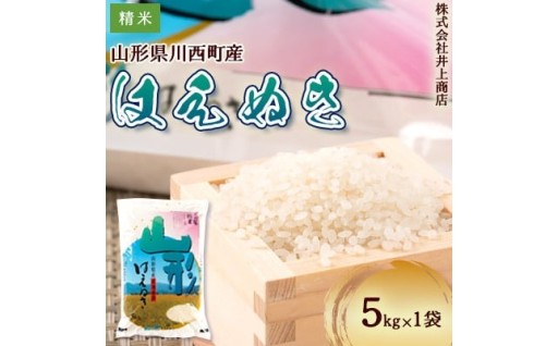 令和7年産山形県産はえぬき　精米 5kg×1袋【1706279】