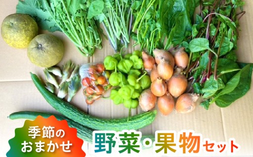 🥬🍊季節のおまかせ野菜と果物セット🍊🥬