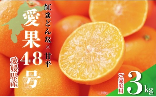🎉高級柑橘同士から誕生🎉春の柑橘🍊ご家庭用【愛果48号】3㎏