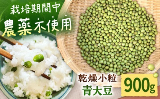 混ぜるだけ豆ご飯！厚真町の青大豆「黒神」