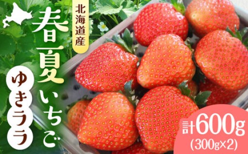 先行予約受付開始！北海道の希少いちご「ゆきララ」🍓