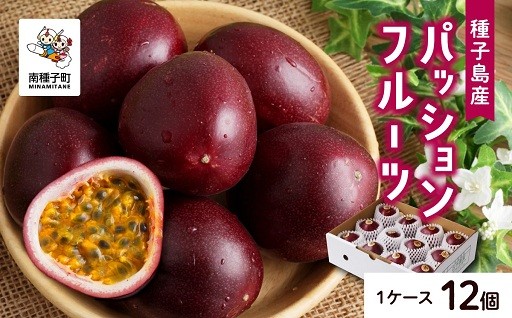 【先行予約】《令和8年度》 種子島産パッションフルーツ