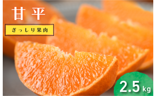 今年は甘平が大豊作！担当者イチオシの甘平をこの機会にぜひご賞味ください…！