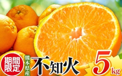 【先行予約】【秀品】不知火 5kg