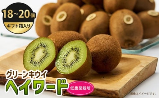 掛川産グリーンキウイ「ヘイワード」18～20個