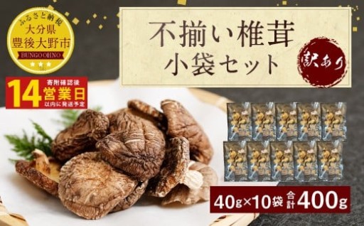 原木椎茸 不揃い 椎茸 10袋セット