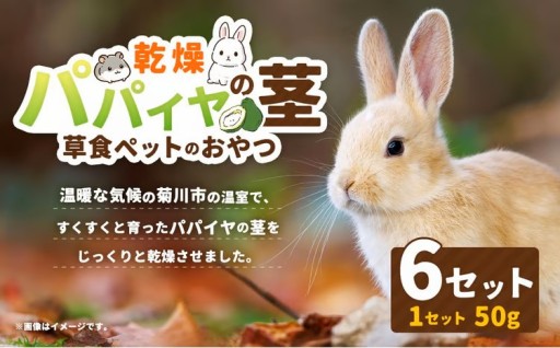 乾燥パパイヤの茎 50g（約20本～30本）×6セット（うさぎ等､草食の小動物のおやつ）