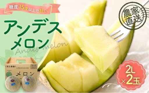 相良村産 春メロン（アンデス） 2玉（2L以上） 【2026年4月下旬～5月下旬発送予定】