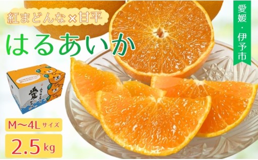 ゼリーの食感と甘みが特徴😋はるあいか🍊2.5kg🍊M～4Lサイズ