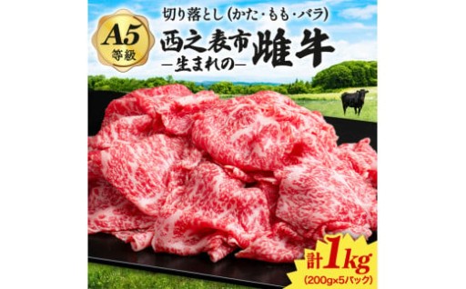 黒毛和牛 種子島 生まれ 雌牛 切り落とし 肉 （200g×5パック）