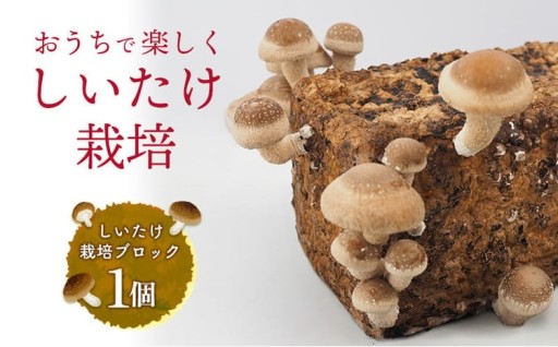東村の「しいたけ栽培ブロック」1個