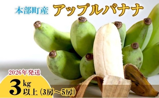 【2026年発送】本部町産アップルバナナ　3kg以上