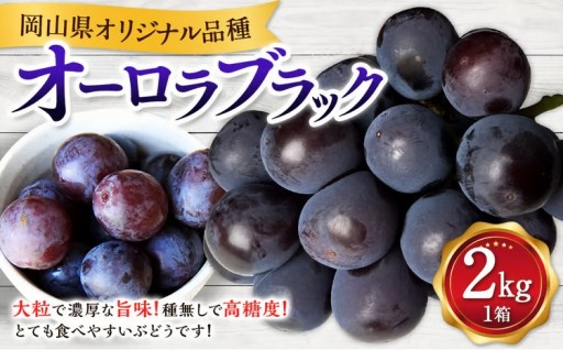 オーロラブラック 2kg  【2026年8月上旬-9月下旬発送予定】