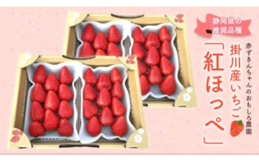 赤ずきんちゃんのおもしろ農園の紅ほっぺ 4パック