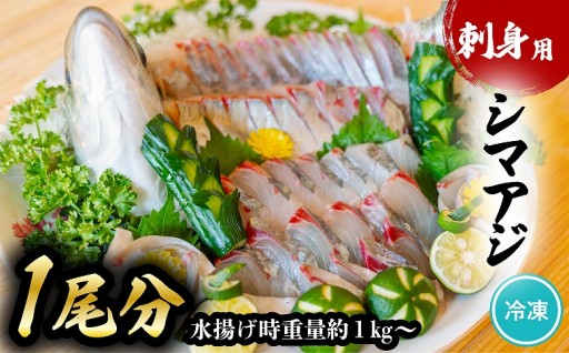 シマアジ 刺身用 1尾分相当