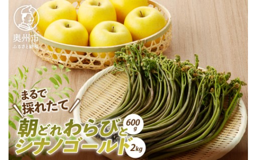 りんごと朝どれ生蕨セット 離島配送不可 [BK010]