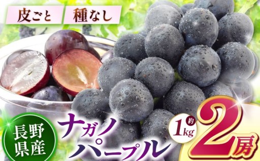 【2026年先行予約】 ナガノパープル（2房）【9月上旬以降順次発送予定】 