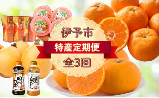 【チョイス限定】伊予市特産定期便（全3回）伊予市の美味しいを詰めて皆さんにお届け♪