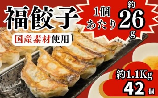 ★ボリュームたっぷり　1個26ｇの大きな餃子★