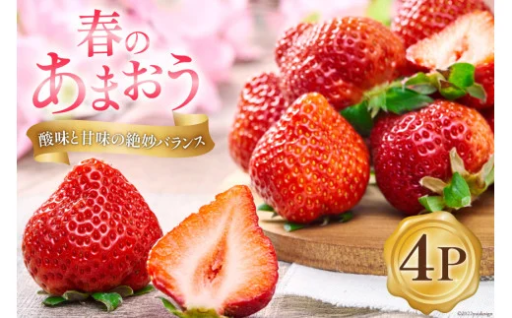 いちごの美味しい季節！福岡のいちご！春のあまおう