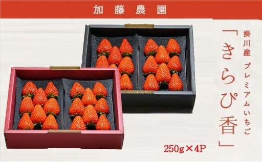 加藤農園　いちご＜きらぴ香＞ (約250g×4)