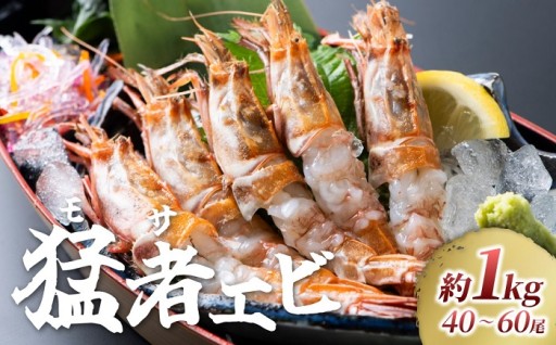 【幻のエビ】地元でしか味わうことのできない希少な「モサエビ」！