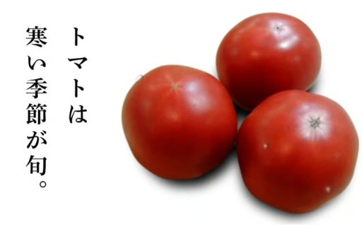 ＜特選＞静岡県掛川市　石山農園のトマト「桃太郎」