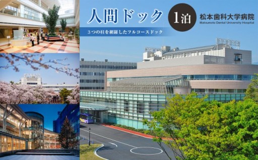 一泊ドック（プレミアム）