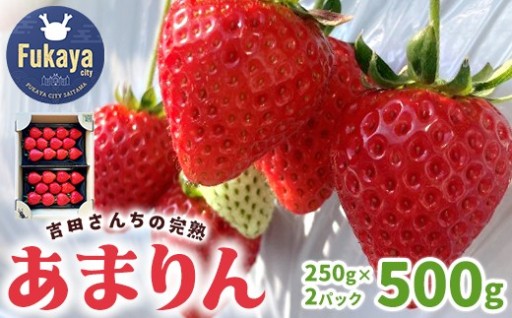 〈先行受付〉吉田さんちの完熟苺 あまりん 500g